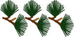Pine Twigs Embroidery Design