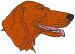 Machine Embroidery Designs: Vizsla - Hungarian Short-haired Pointer