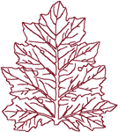 Redwork Acanthus Leaf Embroidery Design