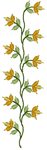 Vertical Flower Bud Border Embroidery Design