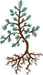 Budding Pine Tree and Roots Embroidery Design